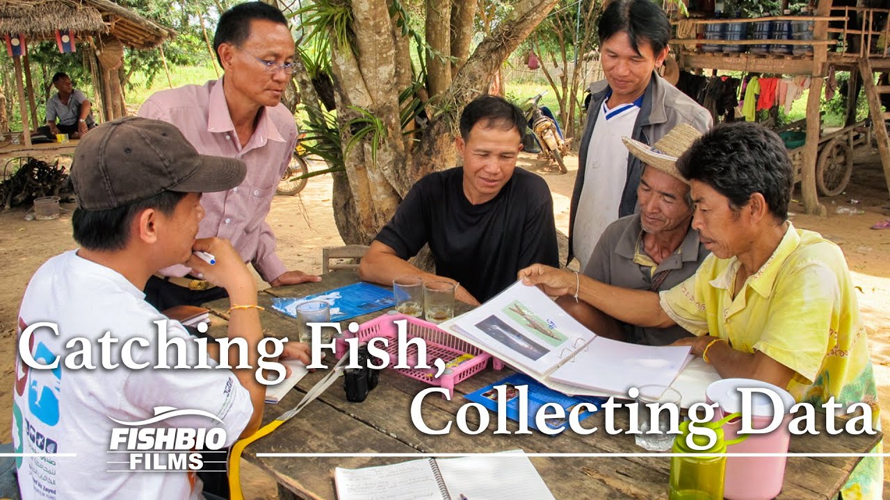 Catching Fish, Collecting Data | Community Research for Sustainable Fisheries and Conservation