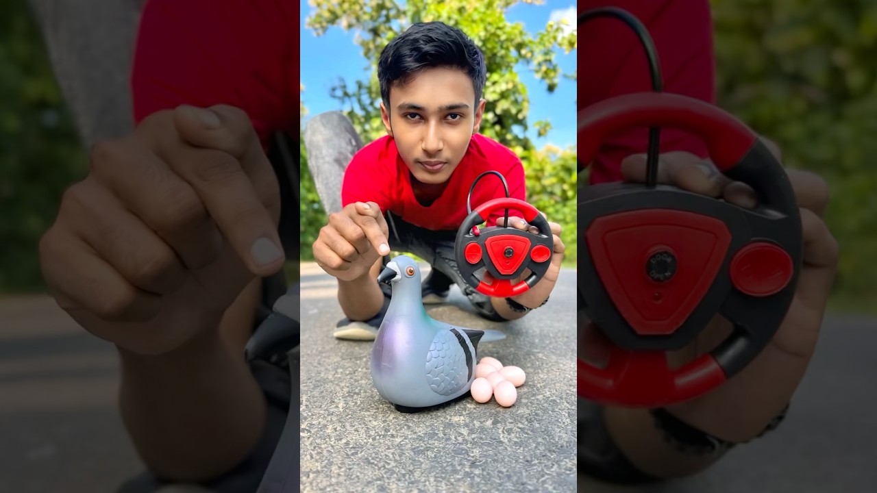 Rc control Pigeon birds Unboxing #shorts