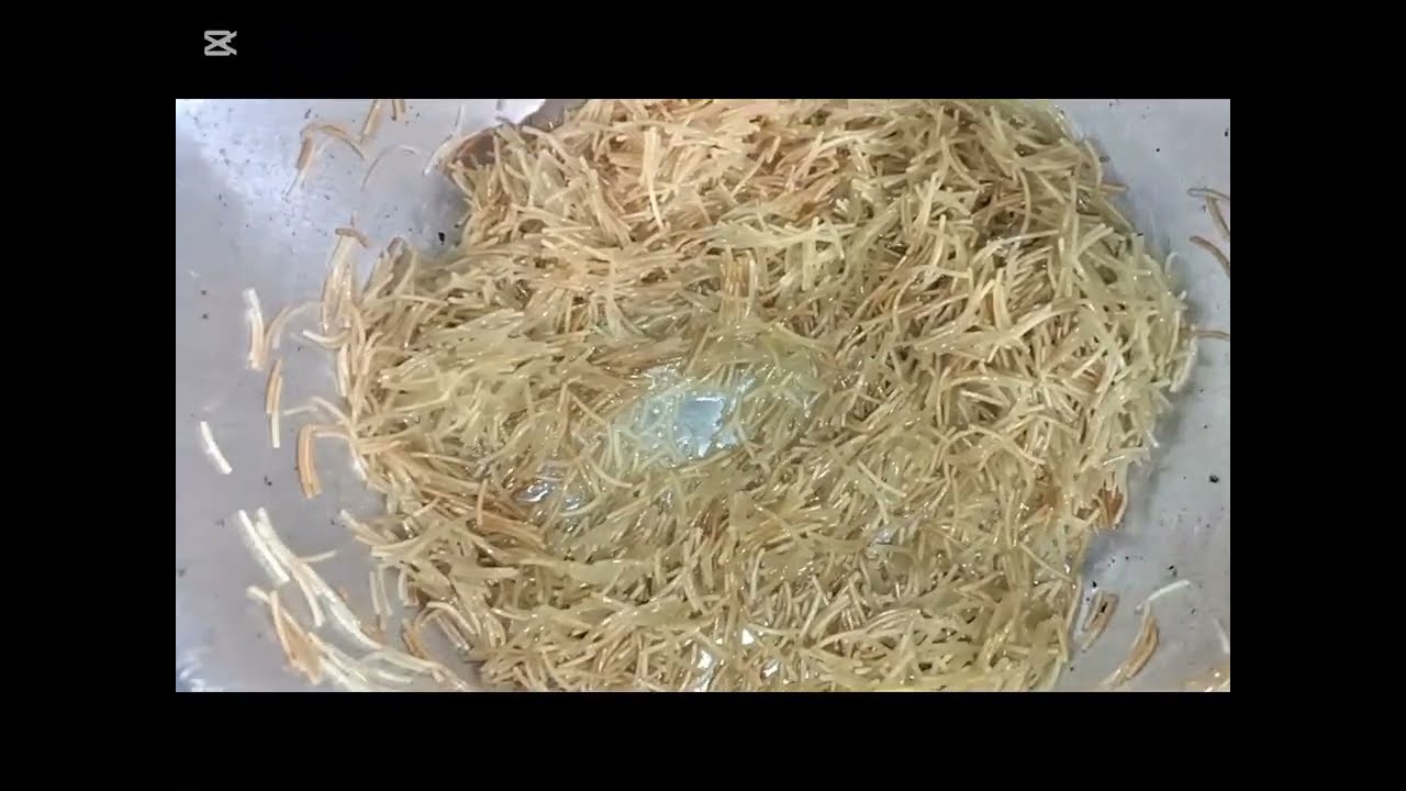 غداء سهل وبسيط +خضار وفاكهه باقل الاسعار 