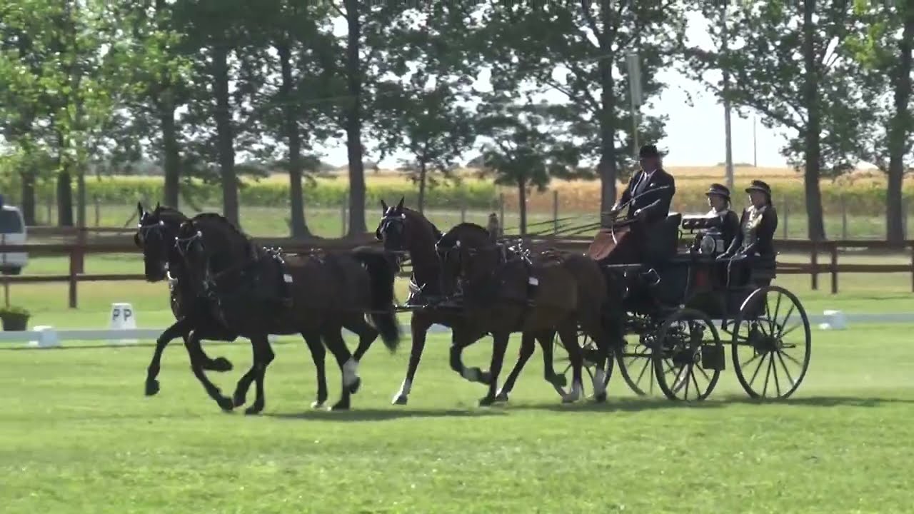 Lázár Zoltán - CAN-A, H4, Mélykút, díjhajtás/dressage, 2022. augusztus 12.