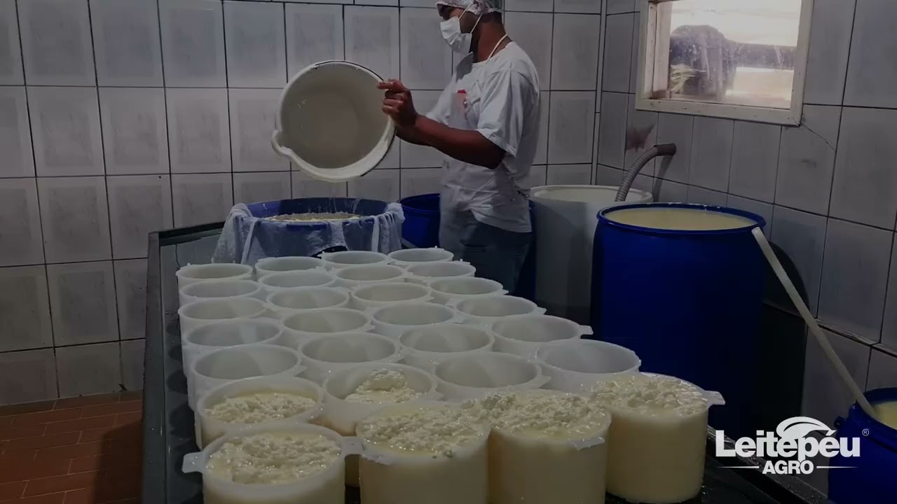 Fazenda São João é sucesso na Produção de Queijo
