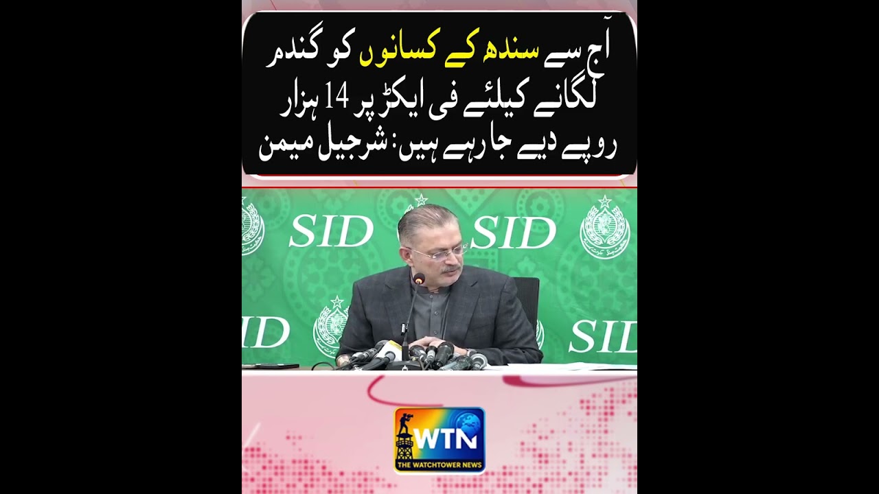 Big Relief for Sindh Farmers | Govt Announces Rs 14,000 Per Acre for Wheat!