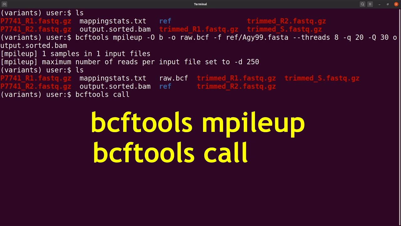 variant calling with bcftools | bcftools mpileup | bcftools call