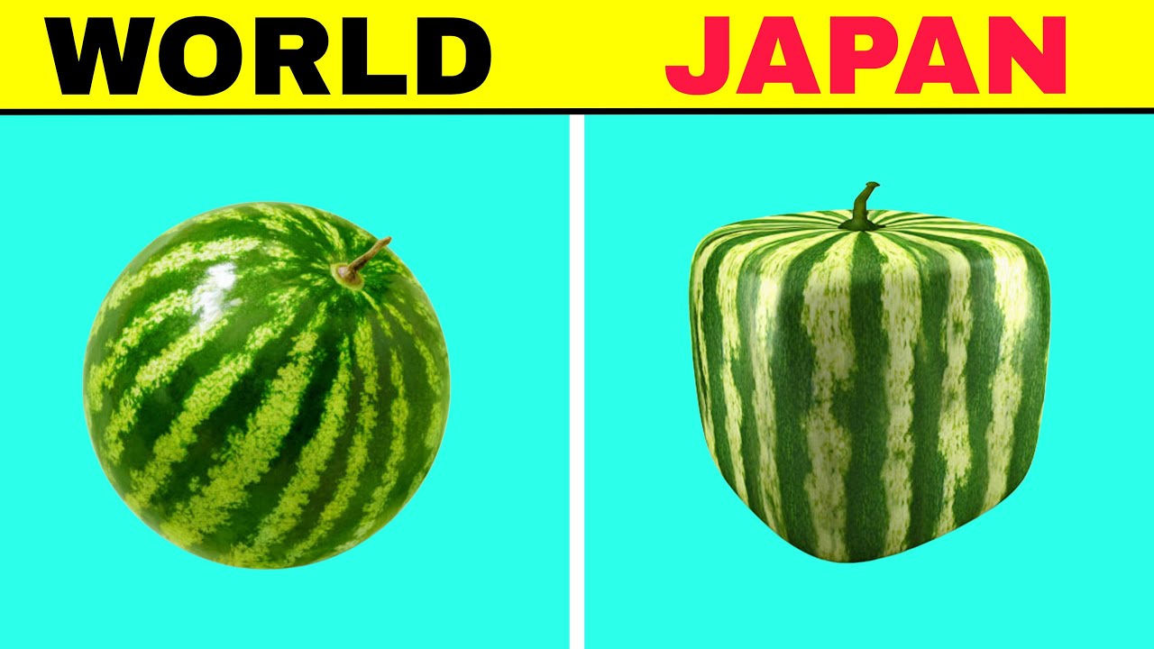 Only in Japan! 15 Mind-Blowing Facts | JD Facts