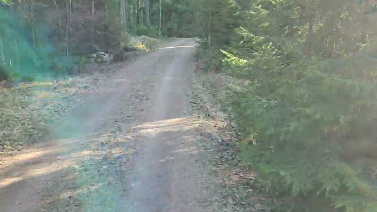 Waldspaziergang als Wochenendauftakt :-) Testlauf neuer Gimbal!