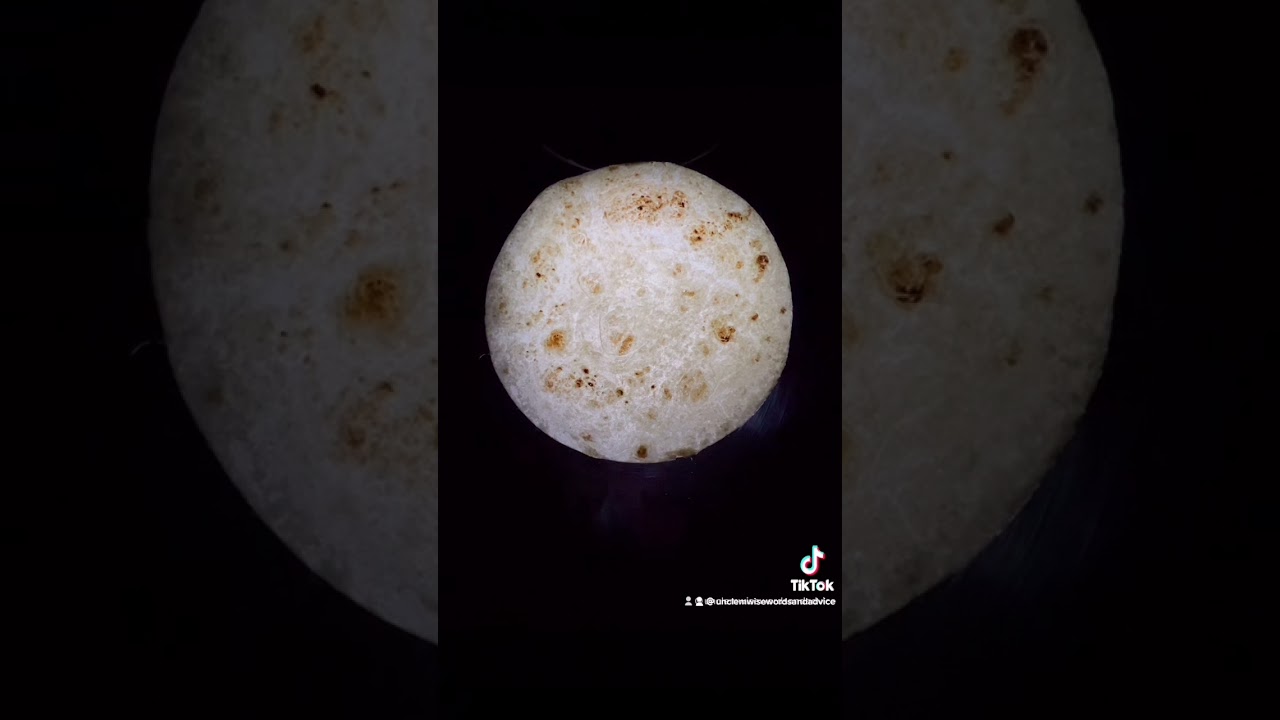 Lunar Eclipse Part 1