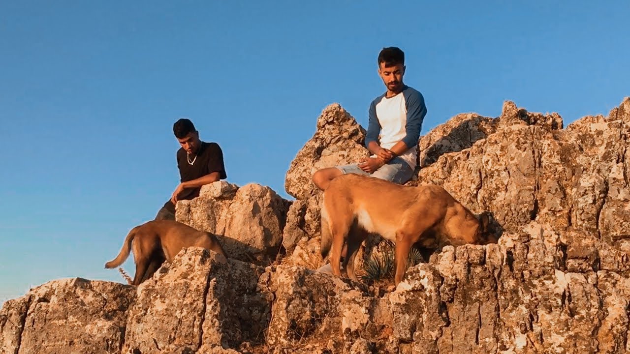 أخر خرجة مع الغبيات