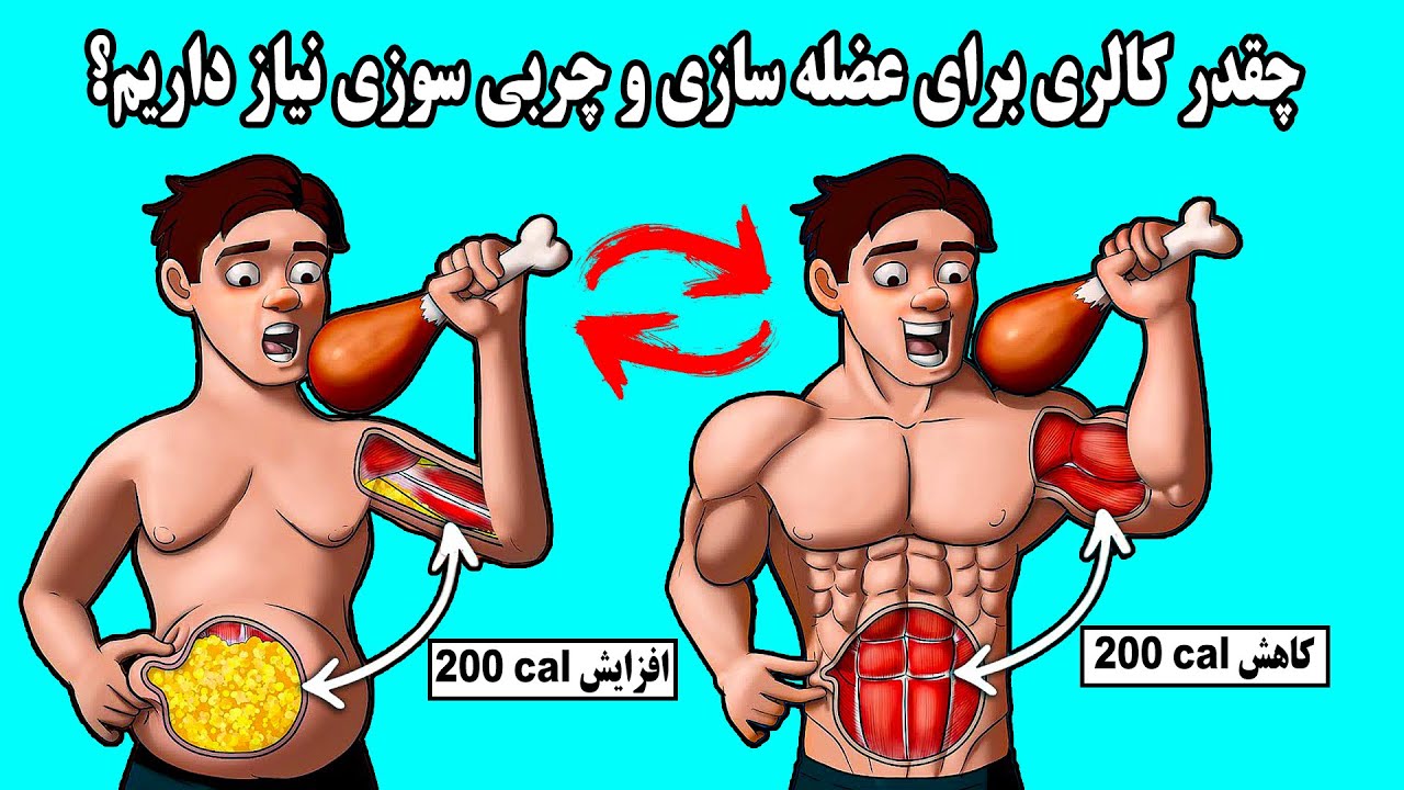 کالری مورد نیاز برای عضله سازی و چربی سوزی
