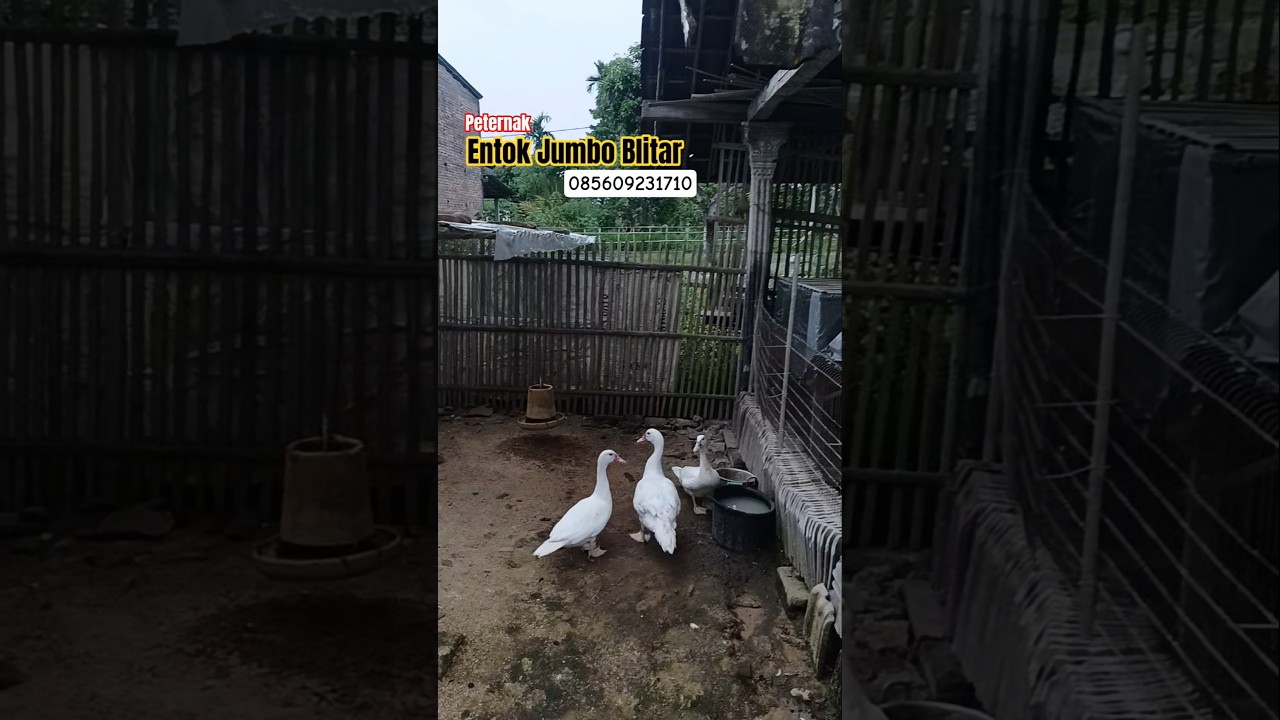 GARCEP temen-temen‼️usaha rumahan paling dicari 