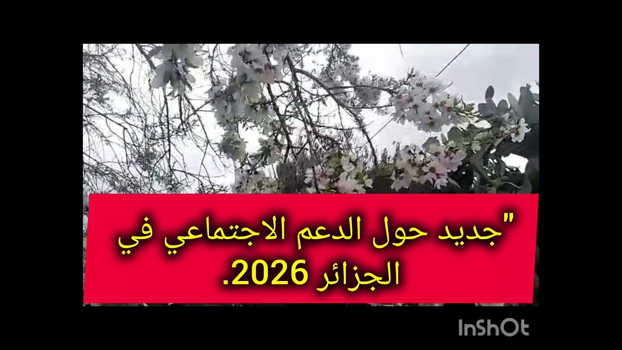 🛑ٱخر الاخبارو التصريحات في الجزائر🛑