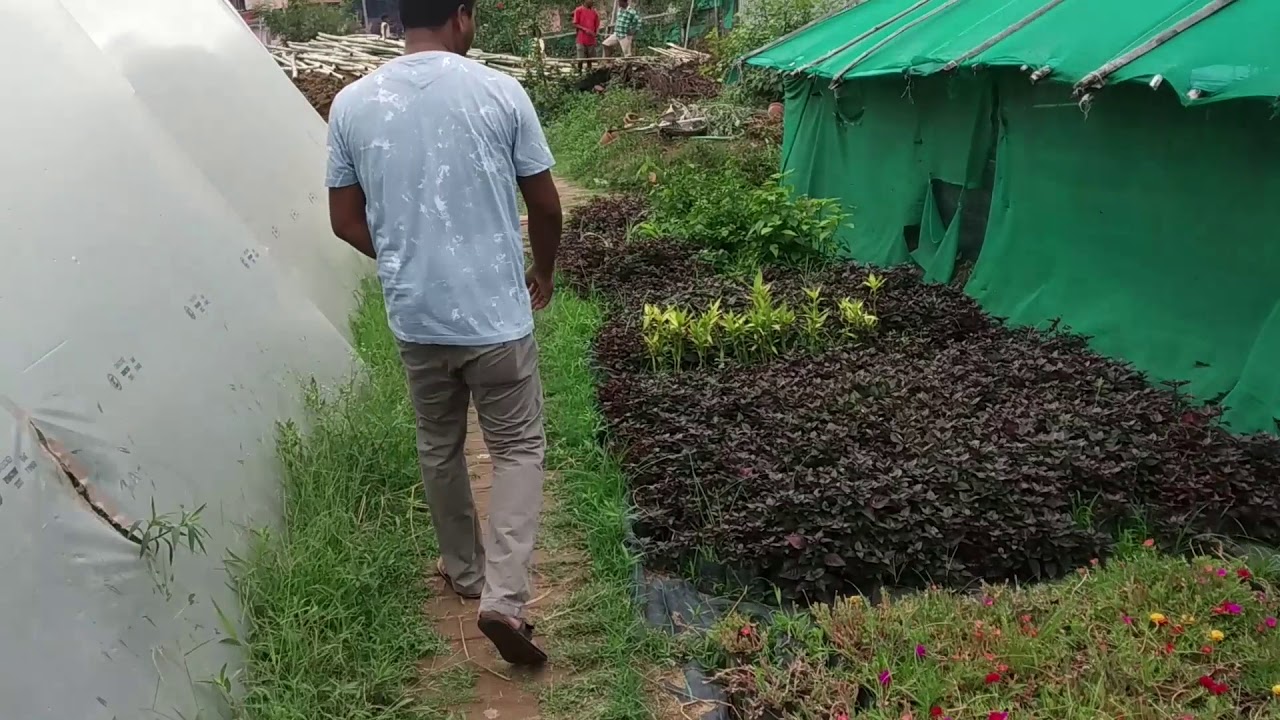 Ranchi's BIGGEST Nursery