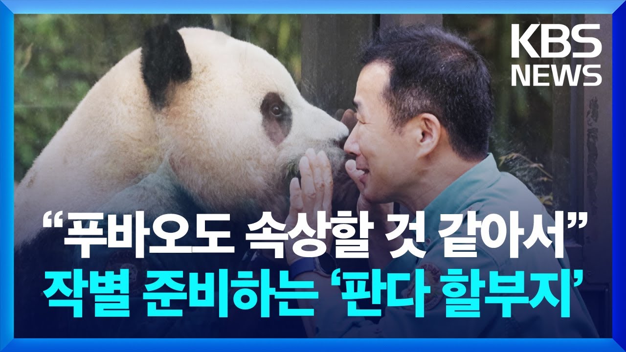 “푸바오도 속상할 것 같아서”…작별을 준비하는 ‘판다 할부지’ [주말엔] / KBS 2024.02.18.