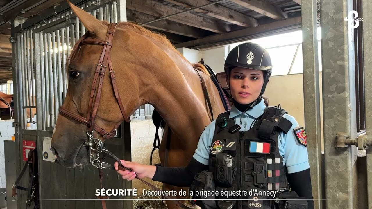 Découverte de la brigade équestre d'Annecy
