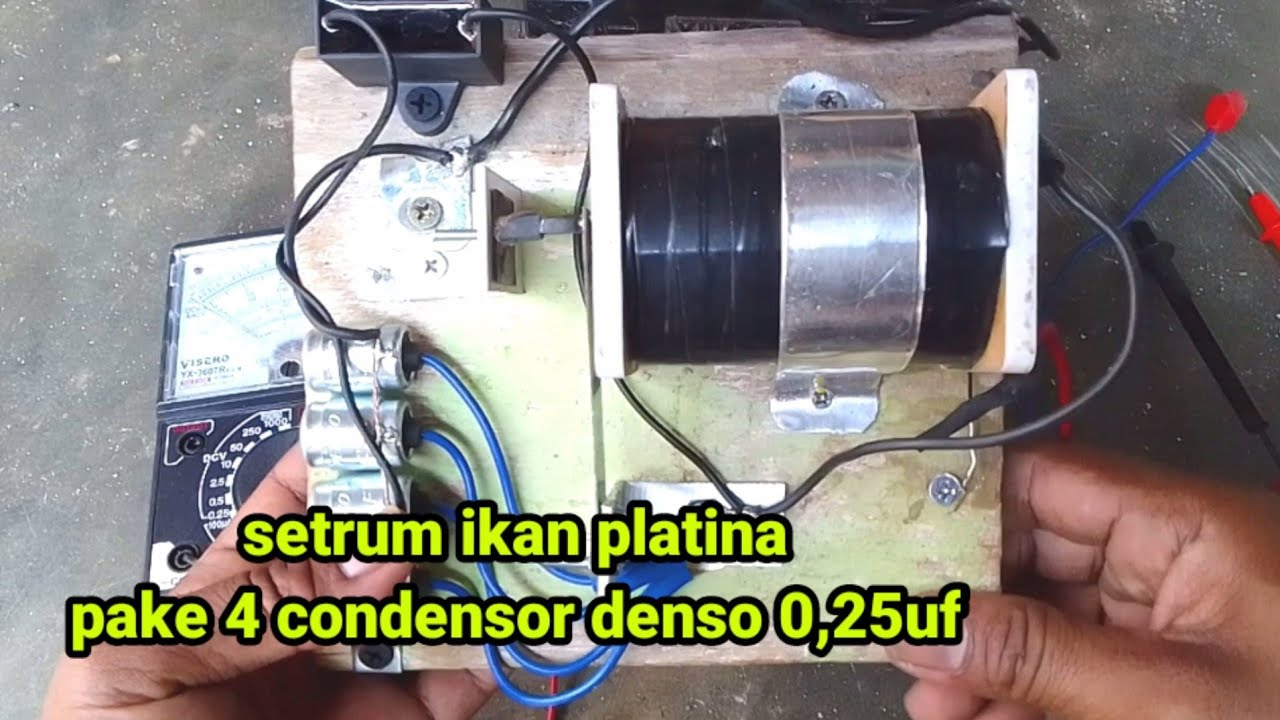 Setrum ikan platina 4 Condensor