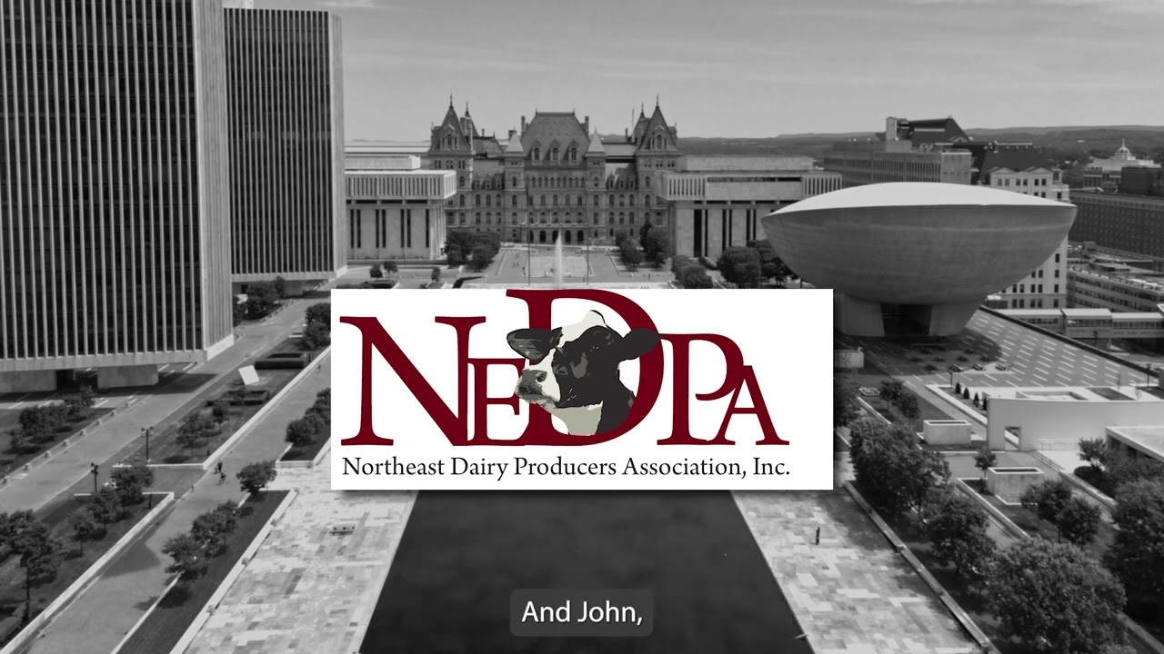 NEDPA Interview- Dairy Radio Now 2023