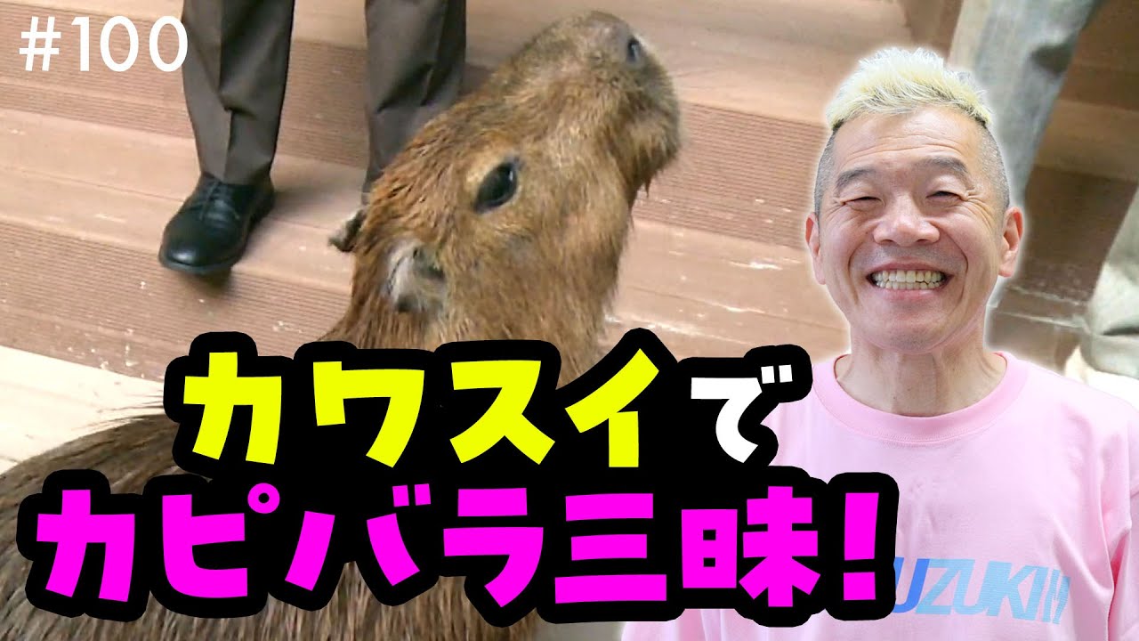 川崎でアマゾンの大自然とカピバラに囲まれる！癒しと至福の体験ができるカワスイ【川崎水族館×ウド様おねが～い!!】#100