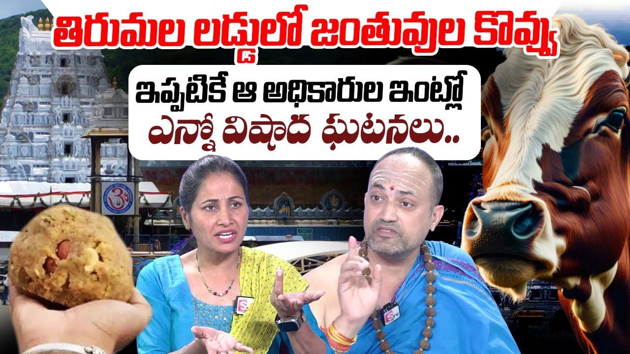 Nandibhatla Srihari Sharma Reacton On Tirupati Laddu Issue | Animal Fat in Tirupati Laddu
