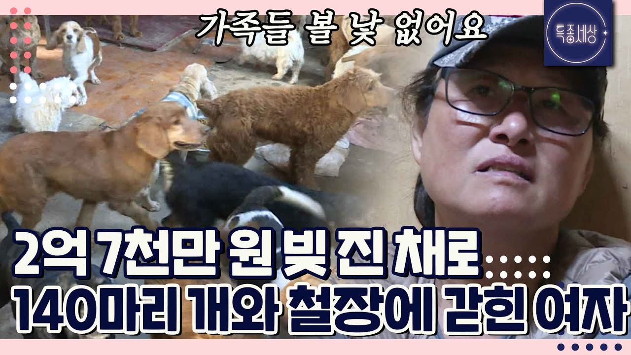 형부에게 2억 7천 만 원 빌리고 가족과 등진 채 개 140마리와 사는 여자｜특종세상 317회 FULL영상