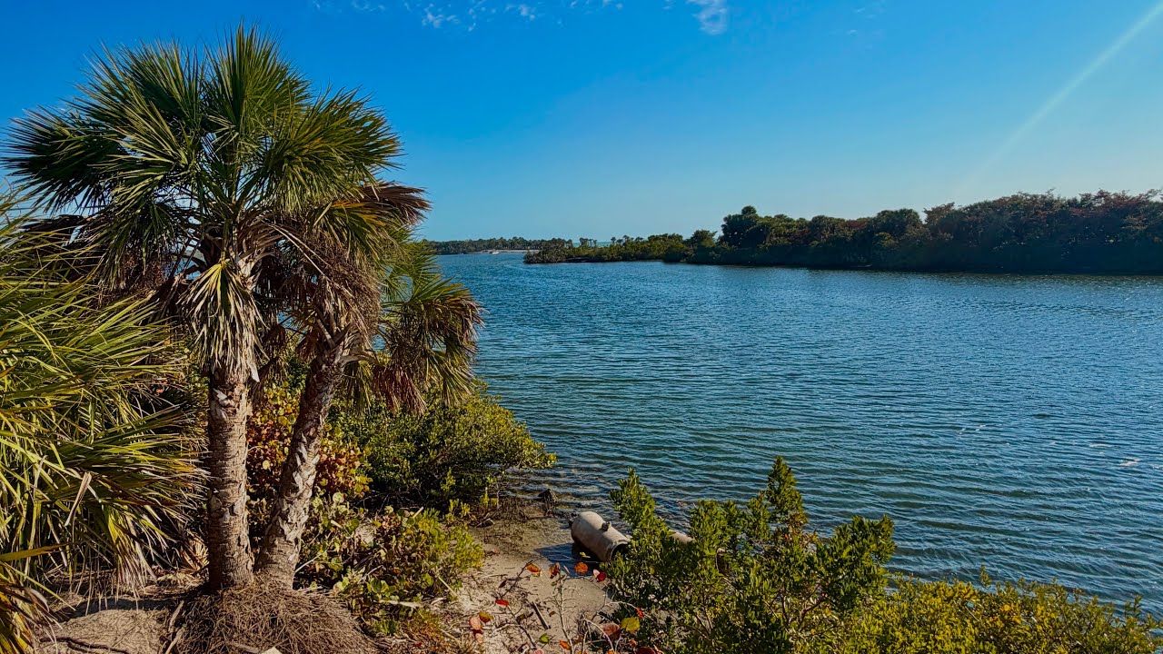 Peaceful Walk in Shamrock Park | Venice, Florida 🌿