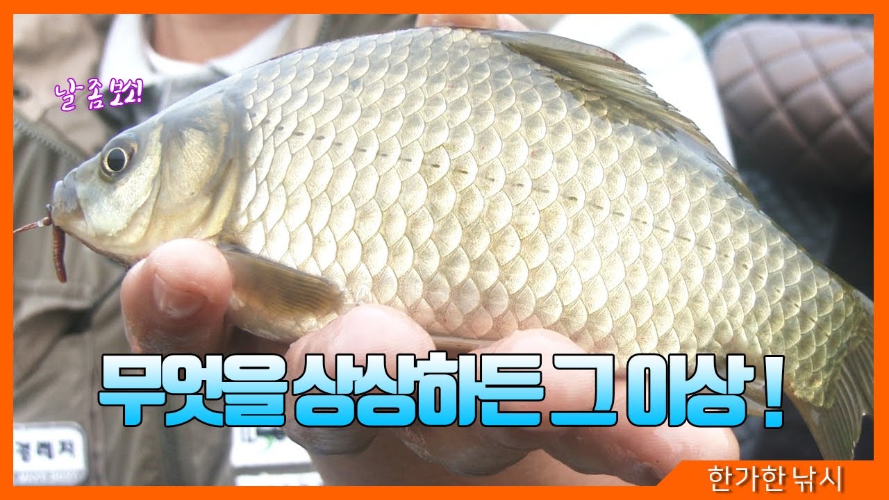 [FTV 한가한낚시] 의성 붕어낚시 (강낚시) - 이렇게 재미있는 이걸 왜 안해 - 사이즈, 마릿수 모두 만족하는 낚시!