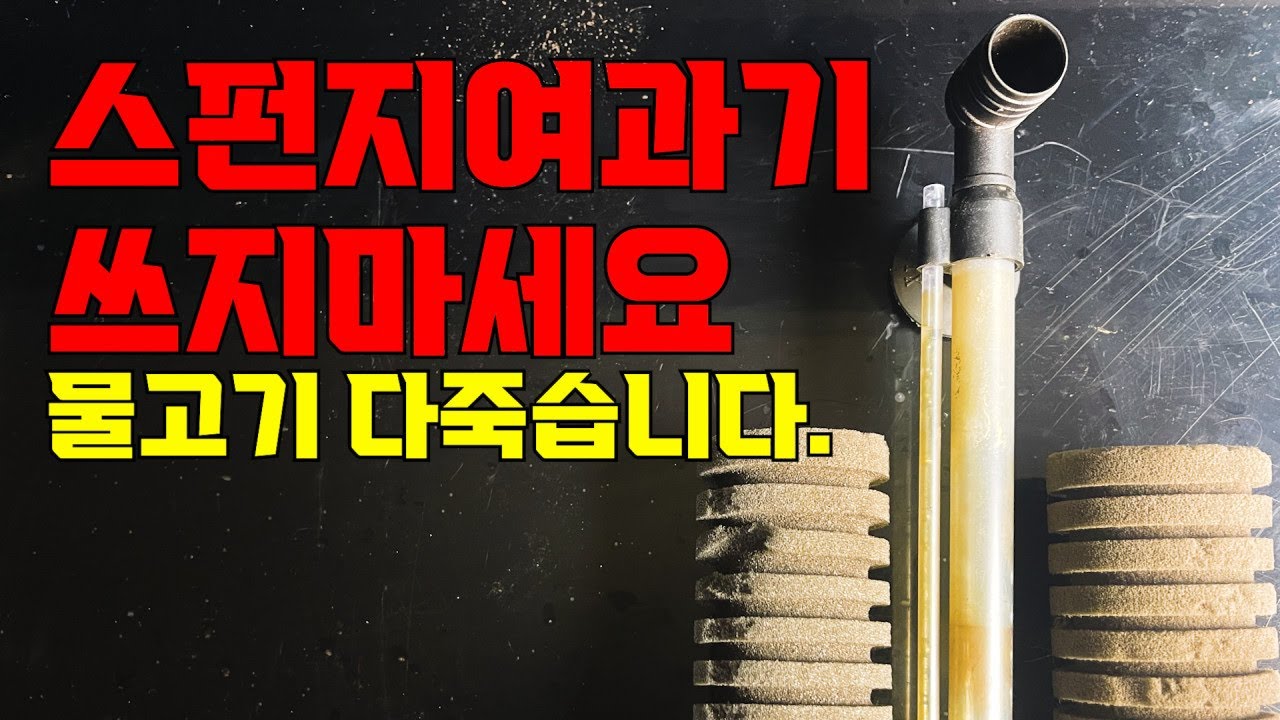 스펀지여과기 이렇게 쓸꺼면 쓰지마세요 물고기 다 죽습니다