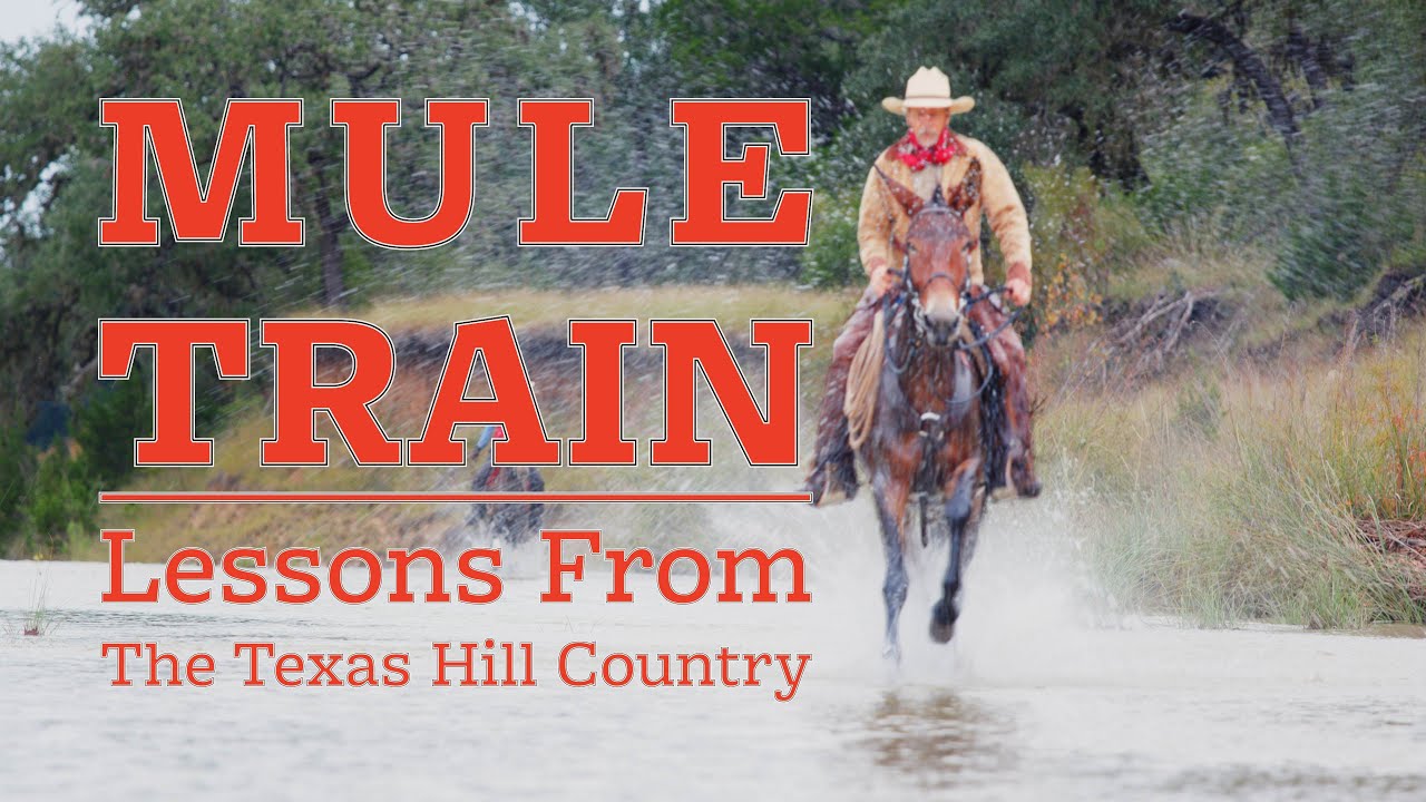 Mule Train: Lessons From The Texas Hill Country