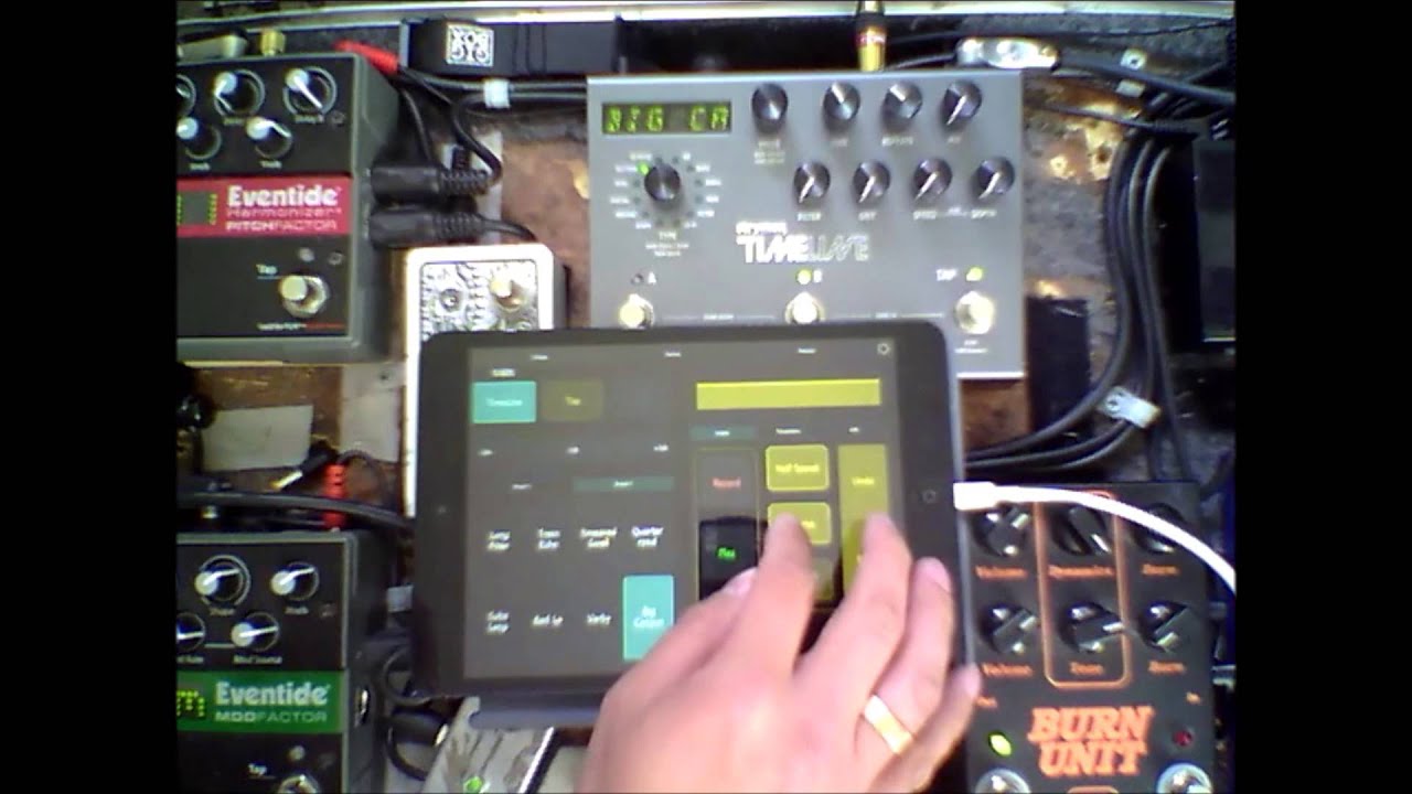 Lemur and Guitar Rigs: Granular Looping with the Strymon Timeline