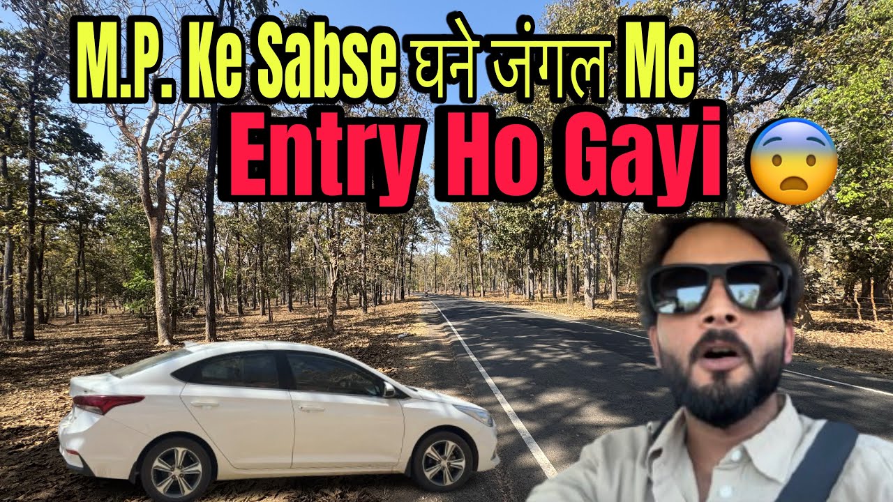 इतने घने जंगल में अकेले ड्राइव करते हुए आ ही गया 😨 @DURLABHTARARVLOGS 
