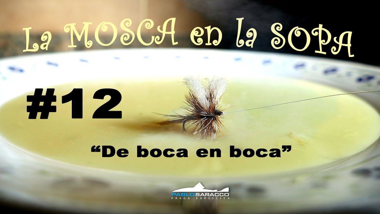La Mosca en la Sopa #12: 
