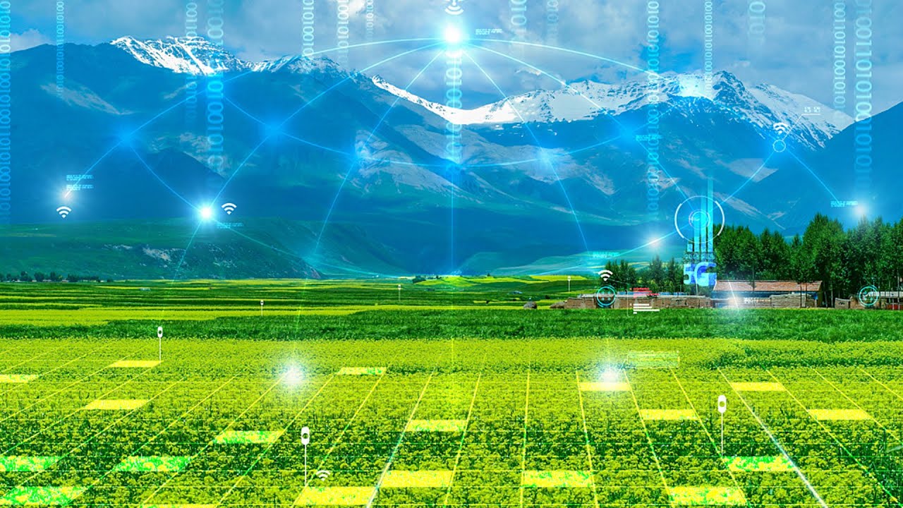 China's agriculture in the new era