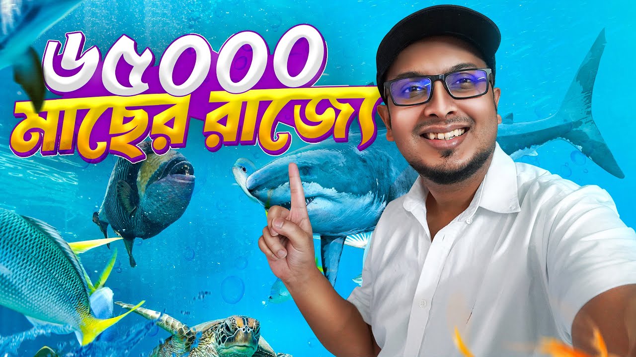 ১ কোটি লিটার পানির অ্যাকোয়ারিয়ামে 😍 হাঙ্গর ও হাজার হাজার মাছ || Lost Chambers Aquarium Dubai