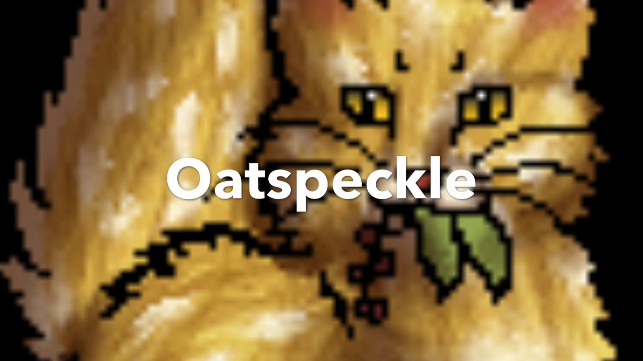 All Medicine Cats Of ThunderClan - Warrior Cats