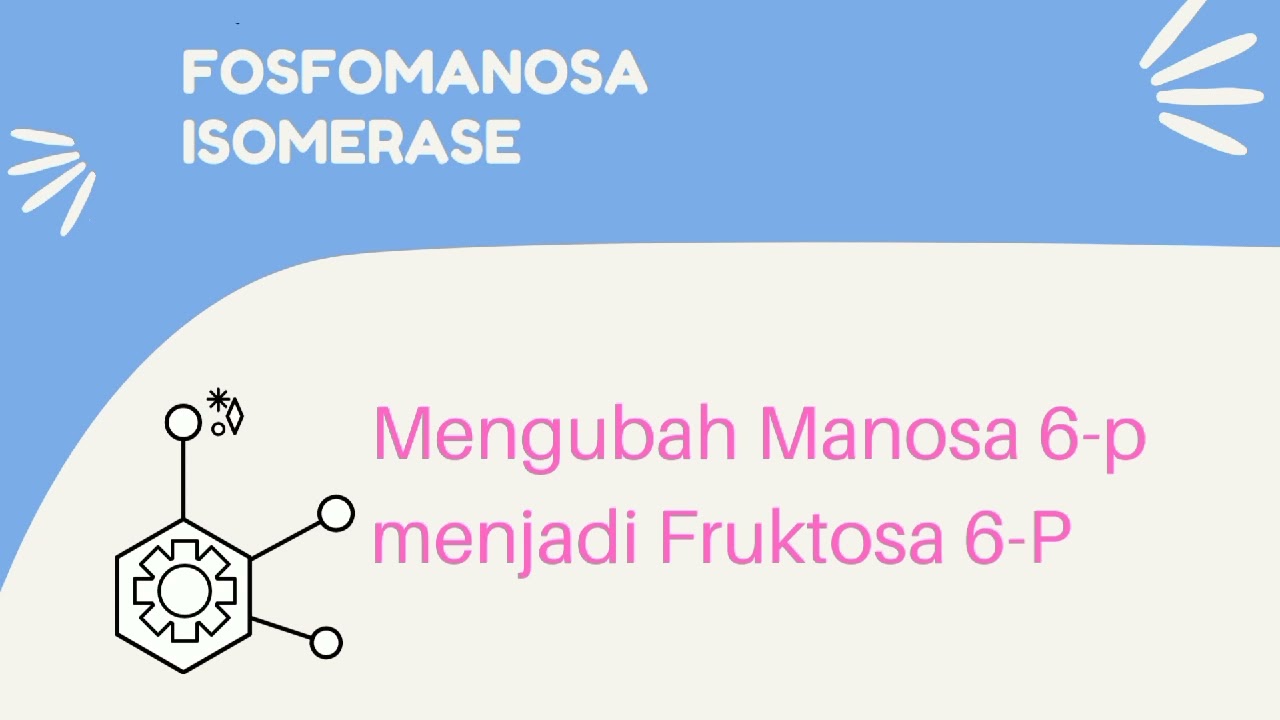ENZIM ISOMERASE