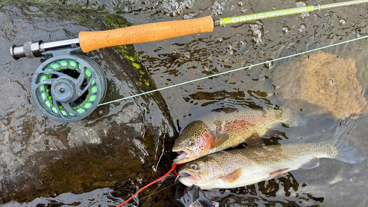 Fly Fishing at Lower Mountain Fork River