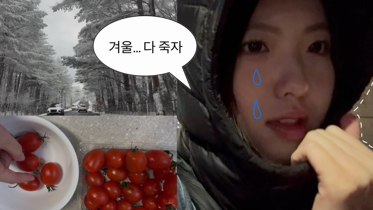 Vlog |  춥고… 배고프고 추운 날들 ☃️📁 일상 • 브이로그
