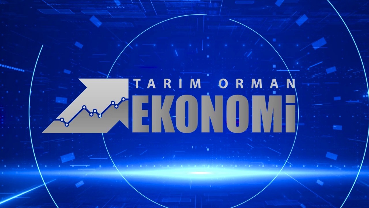 Tarım Orman Ekonomi 📊 19. Bölüm