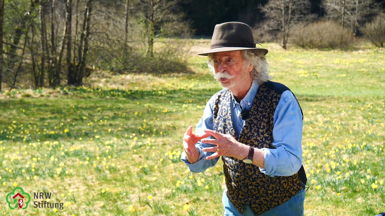 Narzissent&auml;ler in der Eifel - Pate Jean P&uuml;tz
