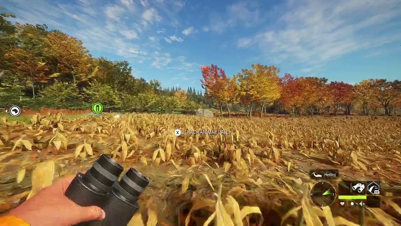 looking for trophies on Hirschfelden!! |The Hunter Call of the wild