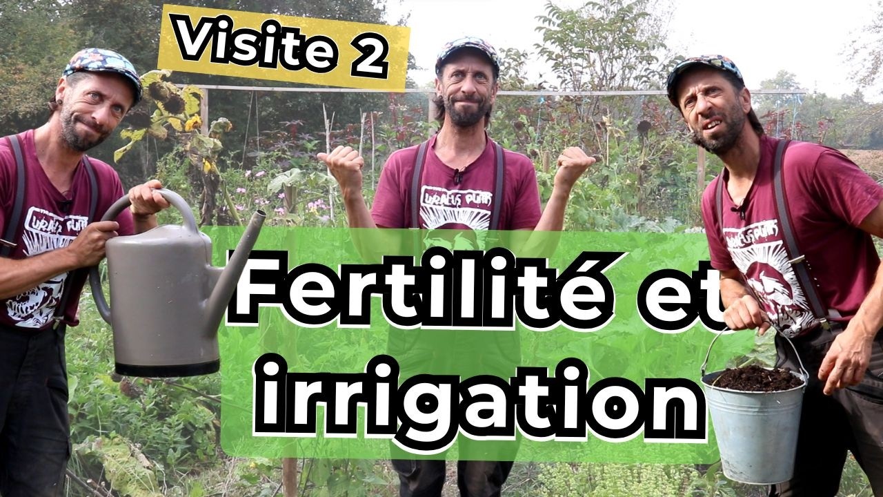 Présentation détaillée des 2 points clé de mon nouveau jardin forêt