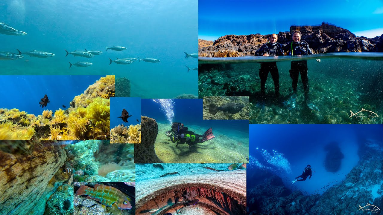 Buceo en Punta de Abona 22-04-2023