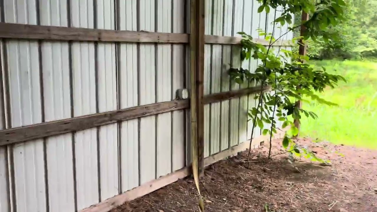 Caney Creek property 