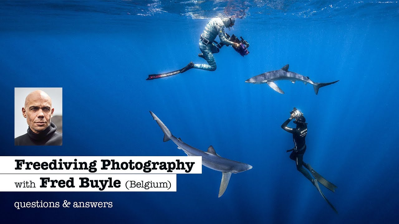 FREEDIVING PHOTOGRAPHY