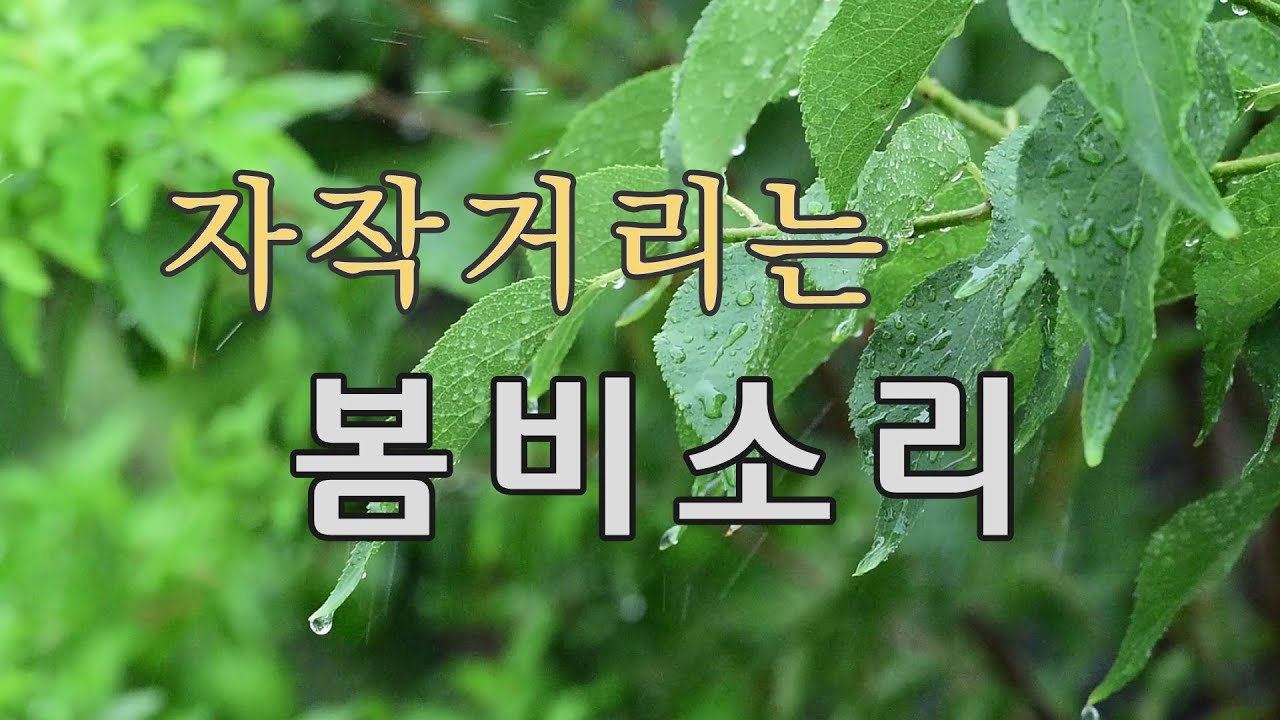 (빗소리, 7시간)자작거리며 나뭇잎과 땅에 떨어지는 빗소리입니다. 소리의 편안함을 더하기위해 4ch로 녹음, 편집하였습니다.