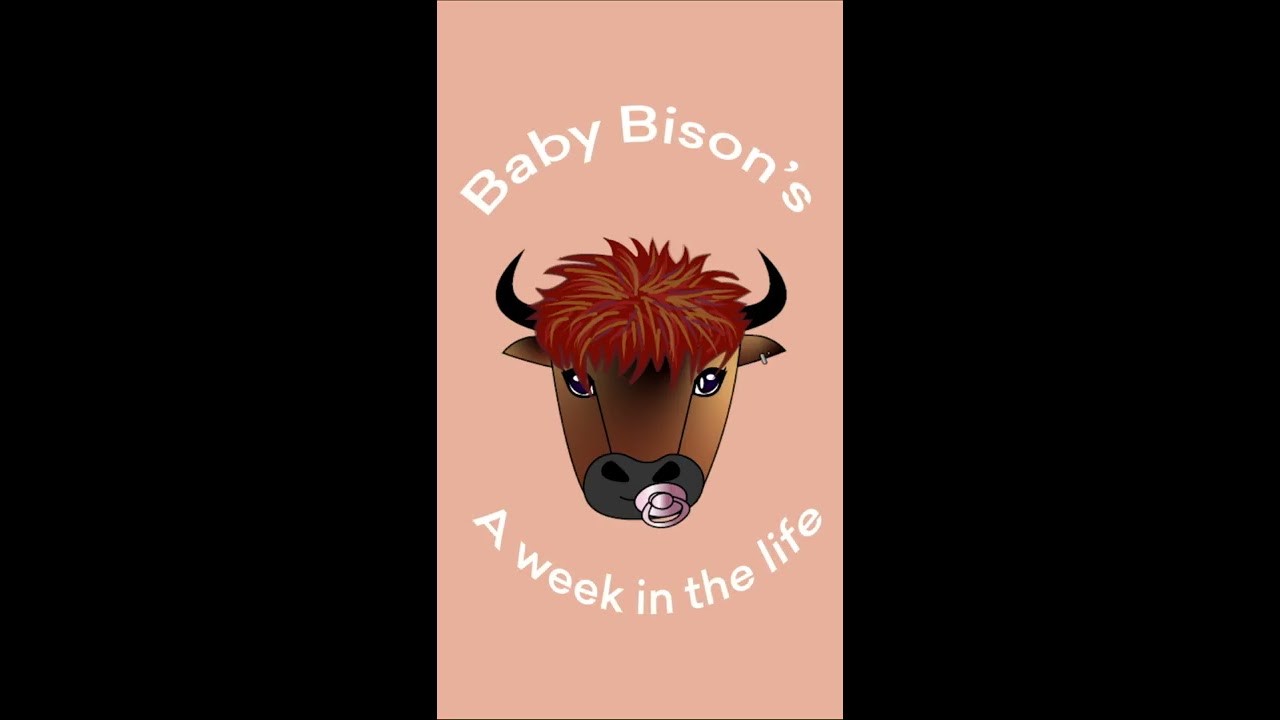 Intern Video Post | Day in the Life at BB