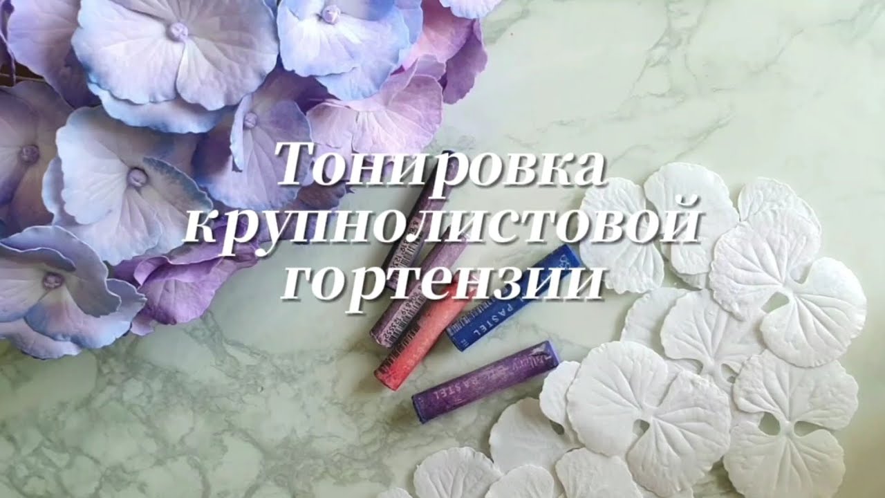 Фрагмент МК по крупнолистовой гортензии Endless summer из фоамирана.