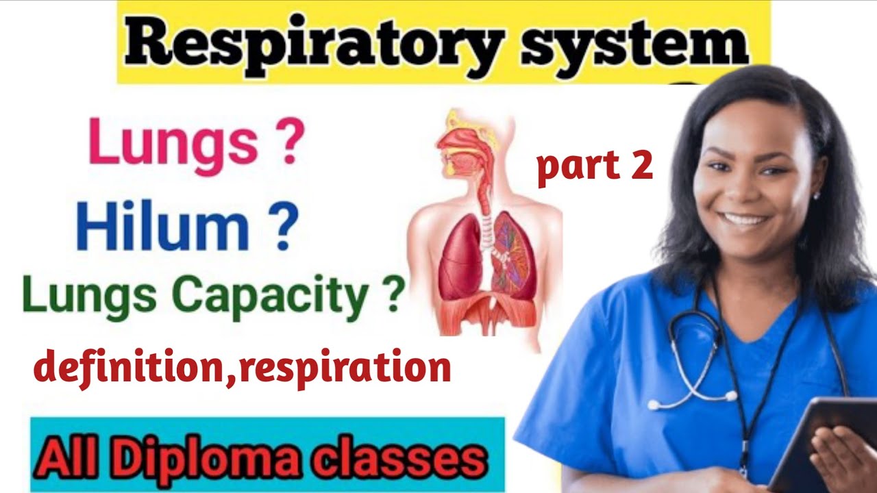 Respiratory system full lecture class in hindi । respiratory system part 2 class।
