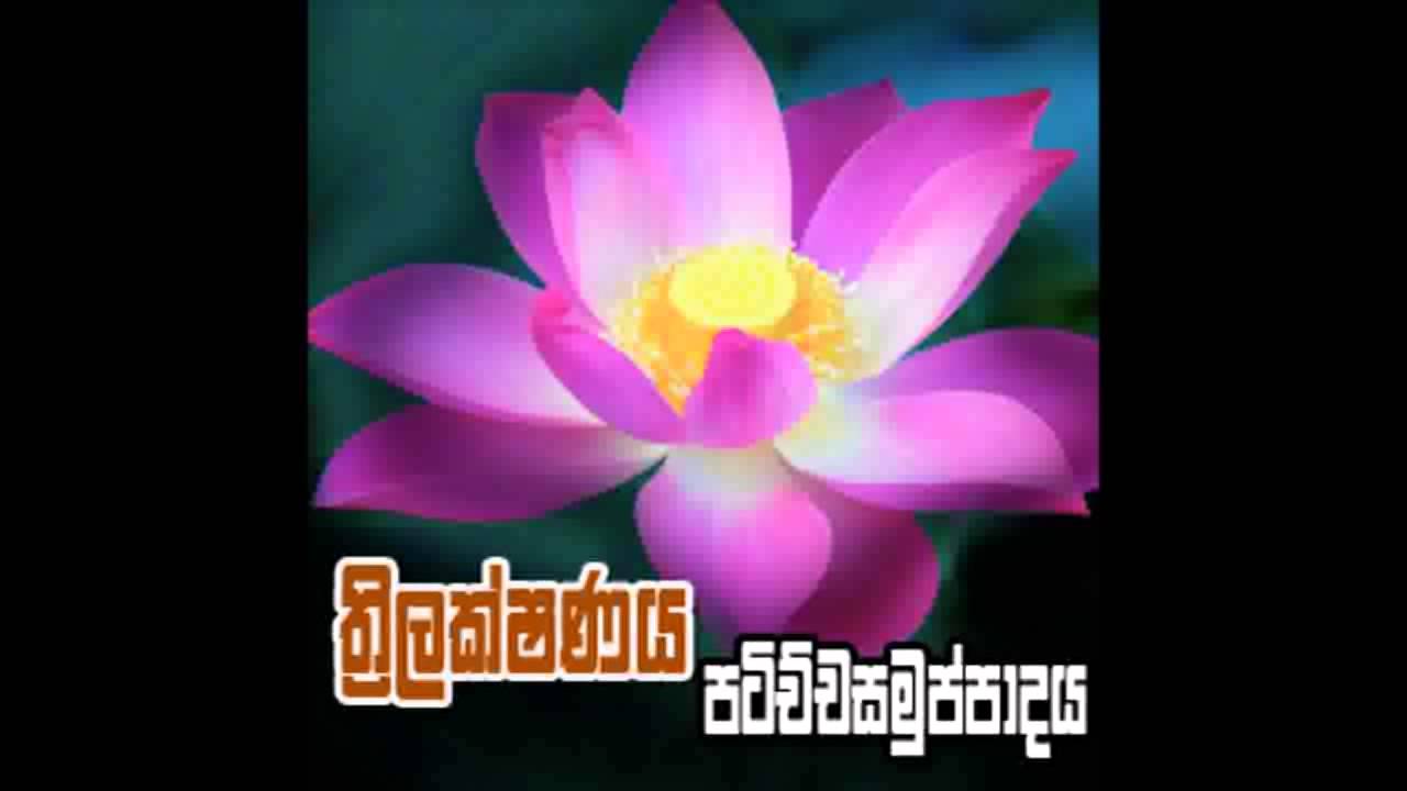 Nivan Maga, Trilakshanaya, Patichcha Samuppadaya by Dr weerasinghe Part 3