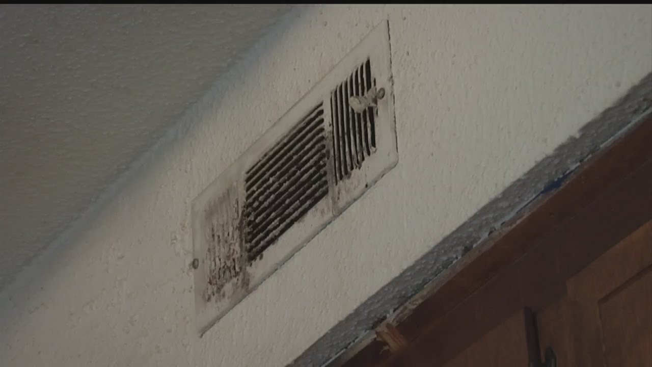 Your Rights as a Renter Post Flooding