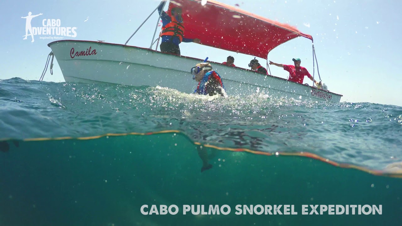 Snorkel in Cabo Pulmo National Park | Cabo Adventures
