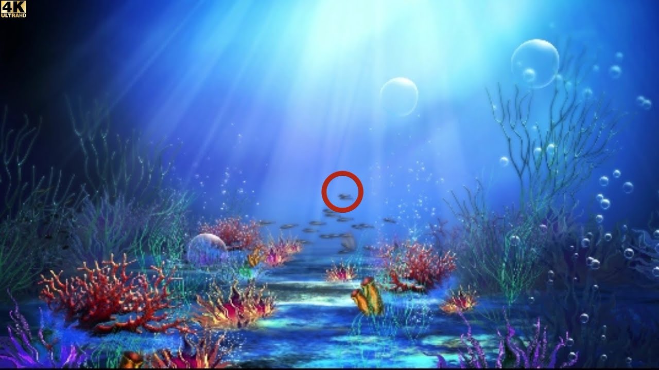 Cool Piano & Under The Sea| Focus Music for Work and Studying, Meditation, Music for Concentration